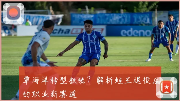 覃海洋转型教练？解析蛙王退役后的职业新赛道