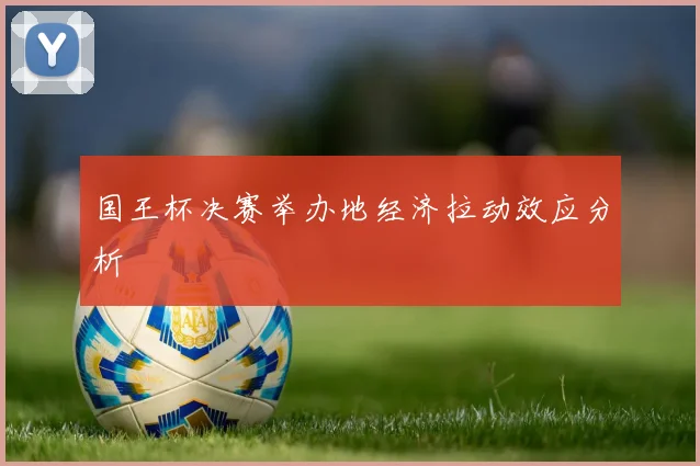 国王杯决赛举办地经济拉动效应分析