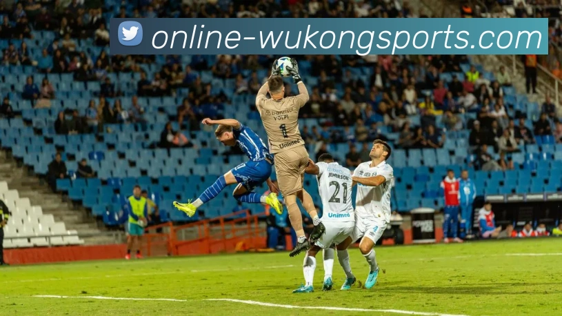 多媒体互动体验